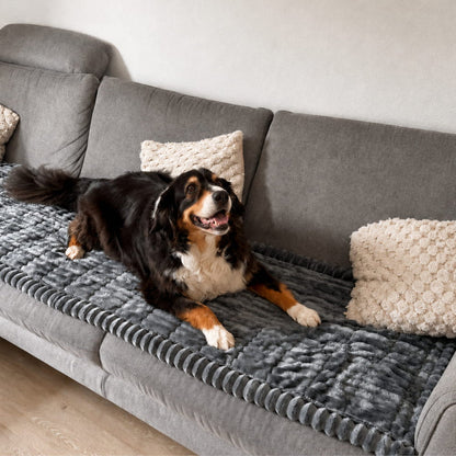 PetLounge™