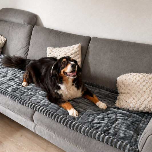 PetLounge™