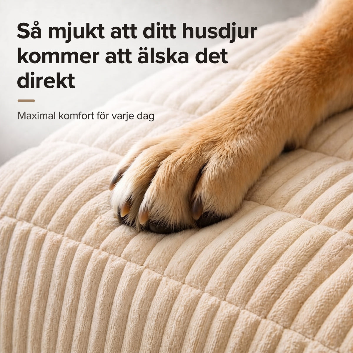 PetLounge™