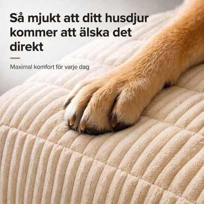PetLounge™