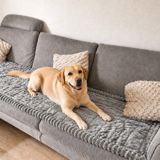 PetLounge™