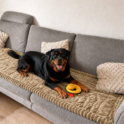 PetLounge™