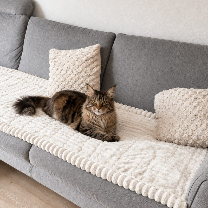 PetLounge™
