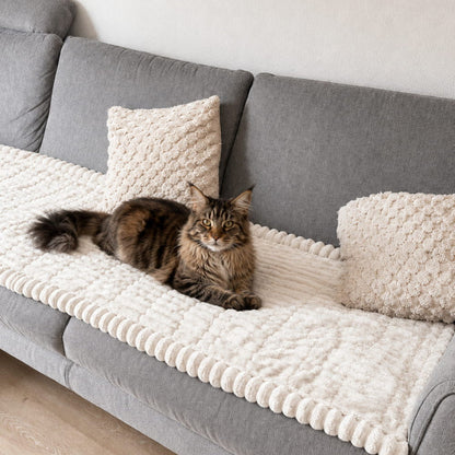 PetLounge™
